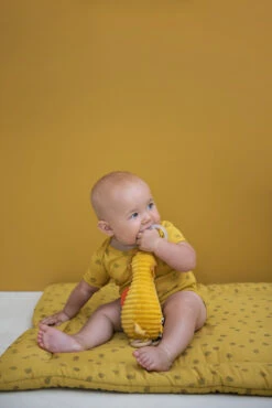 Baby Products Store -Baby Products Store LS 16 417 1