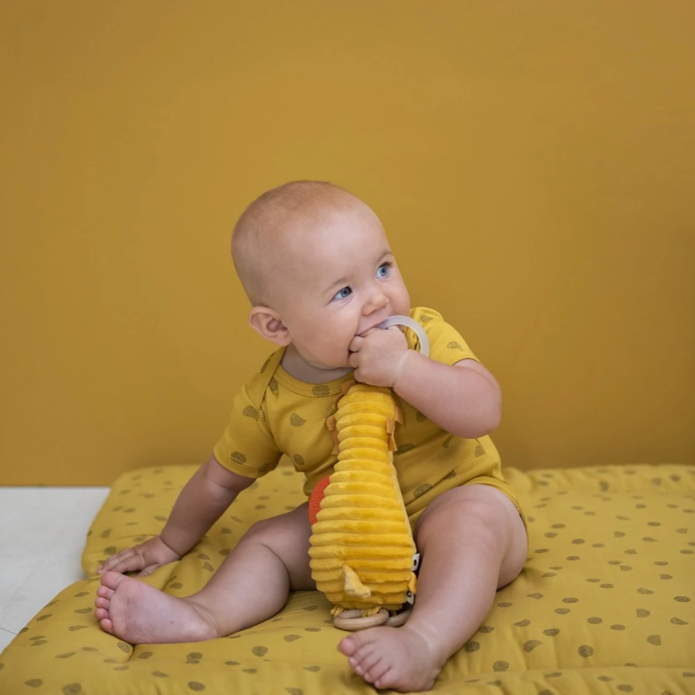 Activity Toy - Mr. Lion 4 Activity Toy - Mr. Lion - Image 2