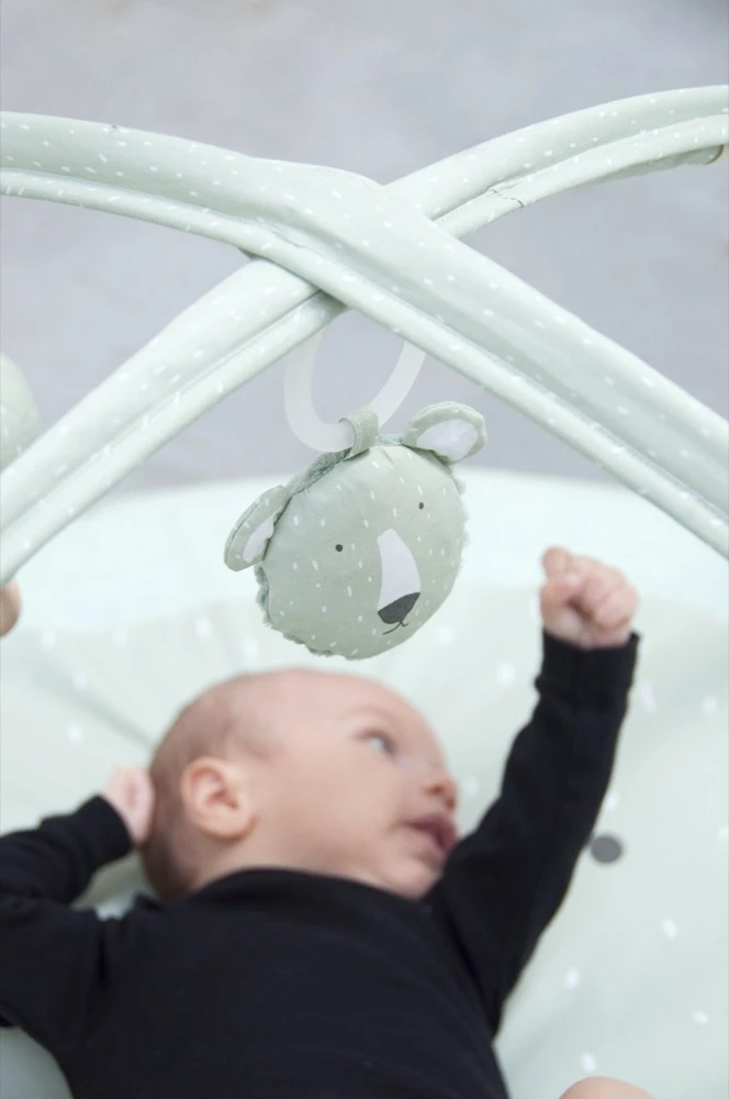 Activity Play Mat With Arches - Mr. Polar Bear 8 Activity Play Mat With Arches - Mr. Polar Bear - Image 6