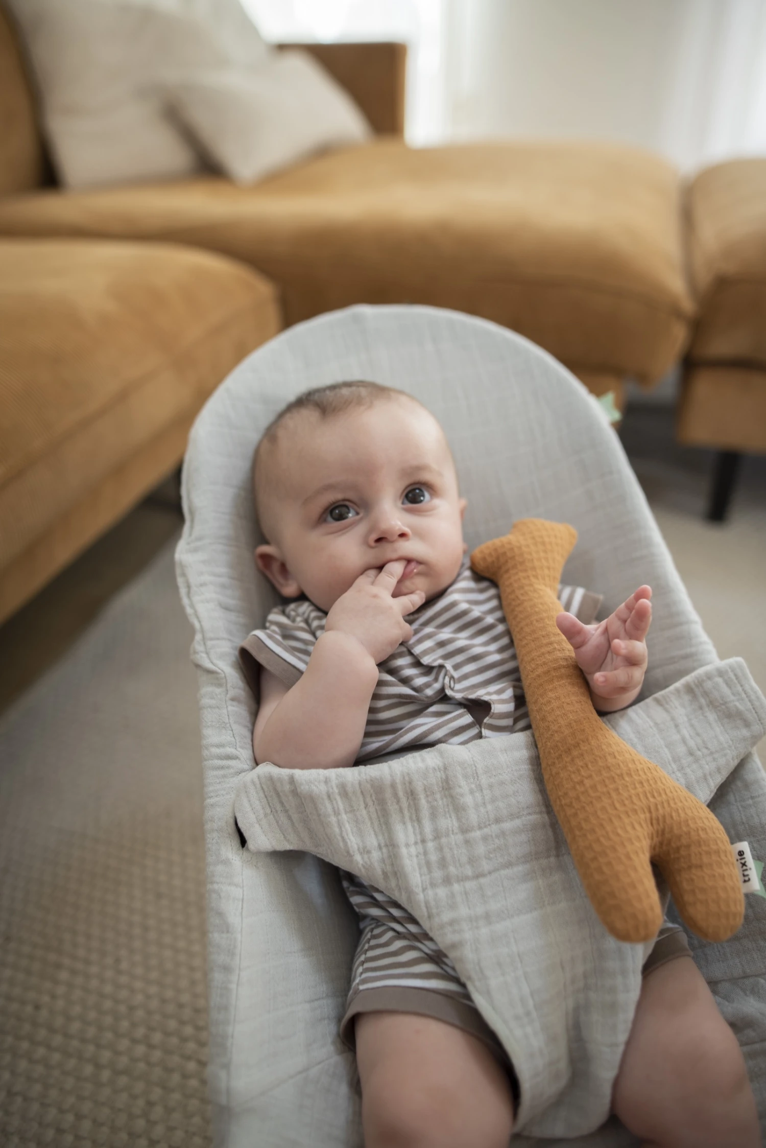 Bouncer Cover | Babybjörn - Bliss Grey 4 Bouncer Cover | Babybjörn - Bliss Grey - Image 2