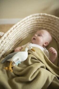 Blanket | 75x100cm - Cocoon Lemongrass -Baby Products Store LS 80 065 1