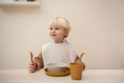 PLA Bowl 2-pack - Mustard 13 PLA Bowl 2-pack - Mustard -Baby Products Store LS 95 368 3